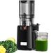 StarTech Sapsierder Slowjuicer met koude persing - 250 W - 1,8 liter inhoud - BPA-vrij