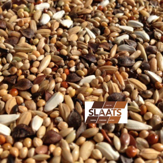 Slaats Parkietenzaad GP - Parkietenzaad grote parkiet standaard - 2 kg