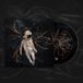 Despondency Debemur Morti Despondency Chord Progressions