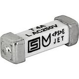 Schurter 3403.0171.11 Fusible CMS 3.15 A 125 V/DC Lent -T- Contenu 1 pièce(s) Vrac