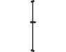 vidaXL Douchekophouder, zwart, 100 cm, roestvrij staal