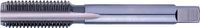 Promat/Tecwerk Handdraadtap M10x1 mm HSS ISO2 (6H) - 4000867083