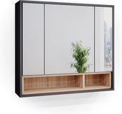 Vicco Beatrice Badkamerspiegelkast – 80 x 72 cm Antraciet