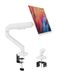 Ibergrif MA001W Monitor arm voor schermen van 13-32 inch, in hoogte verstelbare monitorarm, met gasveer, kantelbaar, draaibaar, kabelbeheer, VESA 75/100 mm, wit