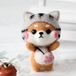 Shenzhen Haorui Industrial Technology Co., Ltd. Kit de feutrage à l'aiguille pour débutants - Kit d'animaux en feutre de laine à faire soi-même avec matériel de feutrage à l'aiguille - Kit de démarrage d'artisanat pour chat