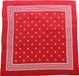 Avet Tiseco BVBA Boeren zakdoek rood stippel 55 x 55 cm - Katoen - Boerenzakdoek - Rood / 55x55