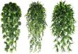 Unyqoos® Set van 3 hangende kunstplanten