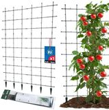 KOTARBAU Plantensteun Klimplanten, Trellis Klimplanten 120x180 cm