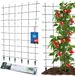 KOTARBAU Plantensteun Klimplanten, Trellis Klimplanten 120x180 cm