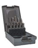 Bahco Jeu de fraises rotatives | carbure | pour métal - 10 pièces - dans un coffret en plastique - RB-SET-M06X-10P