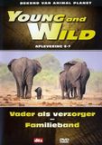 Young Bol Special Interest - Young And Wild