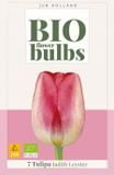 Jub Tulipa Judith Leyster bloembol JUB 7 stuks bio