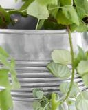 House Doctor Pots de fleurs suspendus Groove argent 18cm