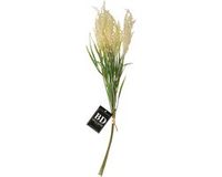 Bellatio Design Pluimgras losse steel/tak - meerdere stengels - cream - 62 cm - decoratie kunst pluimen