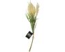 Bellatio Design Pluimgras losse steel/tak - meerdere stengels - cream - 62 cm - decoratie kunst pluimen