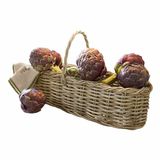 LOBERON Mand Allegretta bruin