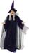 BOG Europlams Figuur Heks - Geanimeerd - Multicolore