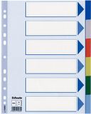 Esselte 6 gekleurde tabbladen, PP, A4