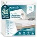 PlushDeluxe Matrashoes met rits, waterdicht, bestand tegen bedwantsen en huismijt, 6-zijdige beschermhoes, past 9-12 inch H) Twin