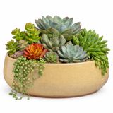 Mica Decorations plantenpot schaal Venice - beige - terracotta - D34 x H16.5 cm - effen