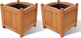 vidaXL Houten Plantenbakken - Verhoogd - 2 stuks - 30x30x30 cm