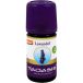 Huile de lavande kbA 5 ml
