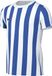 Nike Uniseks-Kind Short Sleeve Top Y Nk Df Strp Dvsn Iv Jsy Ss, Wit/Koningsblauw/Zwart, CW3819-102, L