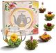 Creano Theebloemen-Mix - ErblühTee cadeauset met glazen theepot, 6 soorten witte, groene & zwarte thee