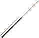 Daiwa Megaforce Boat Bodemvissen Hengel Zwart 2,10 m / 100-300 g
