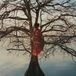 Bertus Distributie Gatlin The Eldest Daughter LP