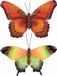 Anna's Collection Décoration de jardin papillons - 2x - métal - orange/vert - 48 x 30 cm