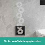 Hansgrohe XtraStoris Original - Ingebouwde toiletpapierdispenser, mat zwart 56058670
