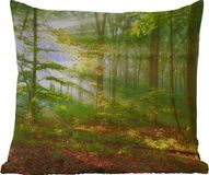 PillowMonkey Tuinkussen - Zon - Bos - Bomen - Natuur - Herfst - 40x40 cm - Groen - Weerbestendig