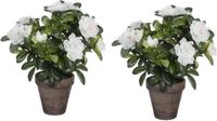 Mica Decorations Kunstplant - 2x - Azalea - groen/wit - 27 cm