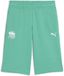 Puma X Paw Patrol Relaxed Fit Korte Sportbroek Groen 3-4 Years Jongen