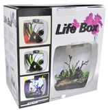 Lucky Reptile LB-35W Life Box 35 Nanoterrarium van acrylglas, wit
