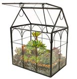 ElegantLife Succulent terrarium, huisvorm, handgemaakte vetplant met bovenblad schommeldeksel, plantenbak voor varenmos, cactussen, luchtplanten (geen plant inbegrepen)