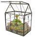 ElegantLife Succulent terrarium, huisvorm, handgemaakte vetplant met bovenblad schommeldeksel, plantenbak voor varenmos, cactussen, luchtplanten (geen plant inbegrepen)