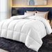 Couette - 240 x 260 cm - 280 GSM - Microfibre - Blanc