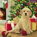 Jonotoys Diamond painting - carte de Noël chiot premier Noël