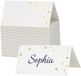 Partydeco Naamkaartjes / plaatskaartjes sterren - Bruiloft - wit / goud - 50x stuks - 9 x 5,5 cm