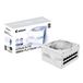 GIGABYTE AORUS ELITE P1000W ICE V2 alimentation 1000 W 20+4 pin ATX ATX Blanc