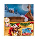 Elf on the Shelf Boxset rendier, traditioneel, Frans boek, meerkleurig