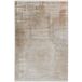 Sw Tapis «vision» Fleurettes Beige 133 X 190 Cm Tapis