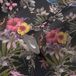 A.S. Création Vliestapete Dream Flowery 381781