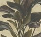 A.S. Création Lepelplant Bladeren Behang Botanisch Bruin Zwart Glanzend Metropolitan Stories 2