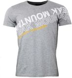 Peak Mountain T-shirt Cyclone Heren XXL Lichtgrijs Gevlekt