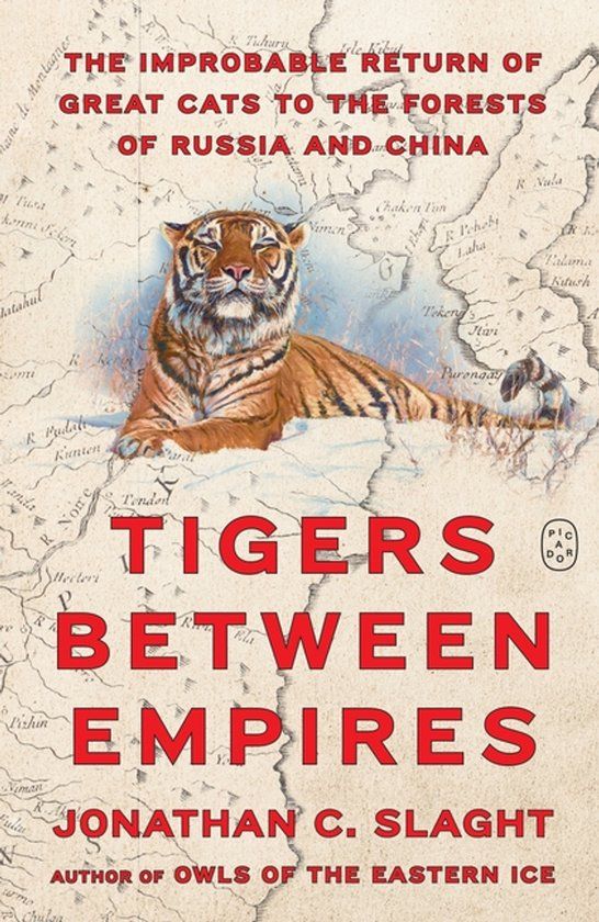Tigers St Martin's Press Tigers Between Empires