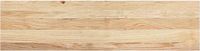 vidaXL Traptreden 2 stuks 100x25x2 cm onbehandeld massief eikenhout