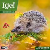 Igel Kalender 2027 - 30x30 - Art12: Bildstarker Tier-Kalender im schlanken Hochformat (aufgeklappt 30x60 cm) | mit Eintrage-Kalendarium